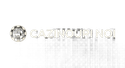 Cazinouri  Noi